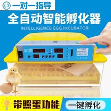 孵化机全自动小型9枚孵化器12枚微型孵蛋器鸟鸽子鸡鸭鹅孵化箱