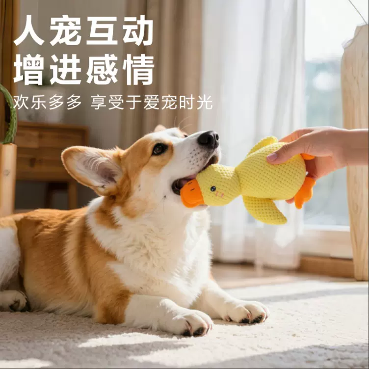 狗狗玩具毛绒耐咬发声磨牙洁齿小狗玩具解闷金毛萨摩宠物用品现货