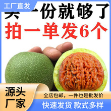 核桃文玩赌青皮闷尖四座楼白狮子虎头满天星苹果园官帽