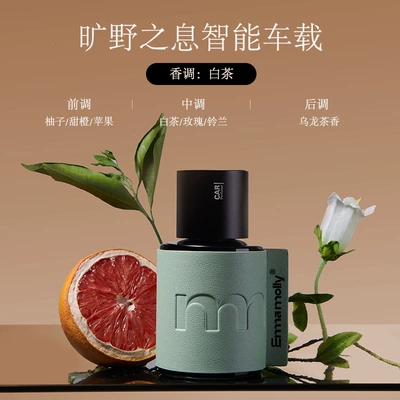 Emma Molly Smart Car Aromatherapy Machine Car Perfume Car Interior Purification and Odor Removal Portable Long-Lasting Fragrance Wholesale (Car Perfume Aromatherapy) - breath-of-the-wild-smart-car-fragrance-diffuser-gardenia-small-shopping-bag