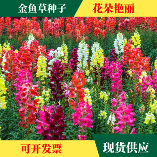 ���~�ݷN�����^���{�ӻ��r�л��҃����Ի��N�����̨�ļ��׷N����