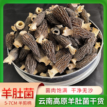 ��Ǿ�5-7CM�����ʳ�þ�����خa�r�aƷ�����Ģ��Ǿ���؛���l