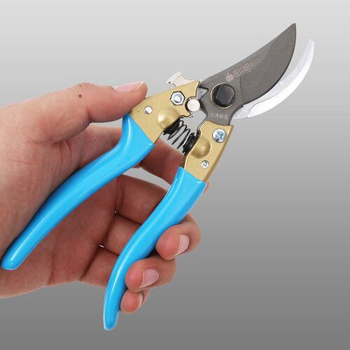 Taiwan original Sakawada 868H pruning shears pruning scissors agricultural tools gardening shears V8 branch shears