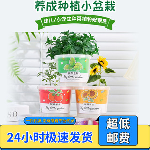 ͯNֲС׃@WСYƷ^GֲNäзNӿͨ