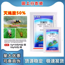 ����S �\��50%��ω�� �˶����ްߝ�ω�߲��rș�p��Ŀ���x���x��