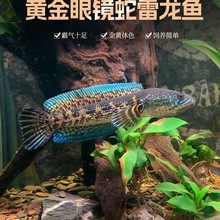 ���R�������~���͟Ꭷ�^�p�~��ˮ�����~����������ʳ���~��