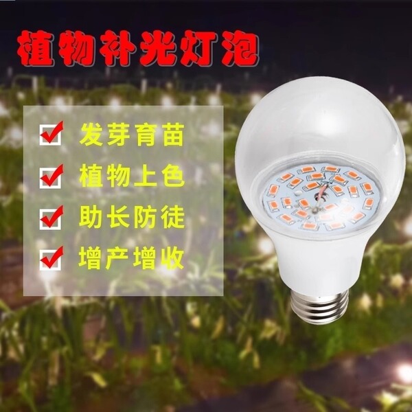 LED fill light