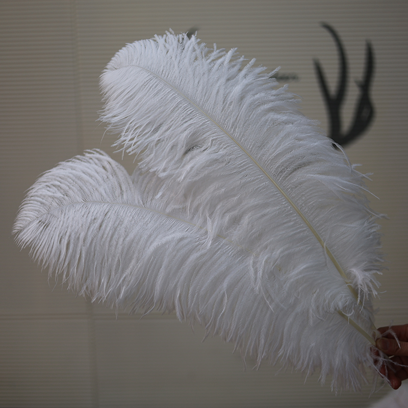 Plumas de avestruz bodas blancas de avestruz guía de plumas accesorios de fotos adornos rojo rosado en línea grandes plumas decoración