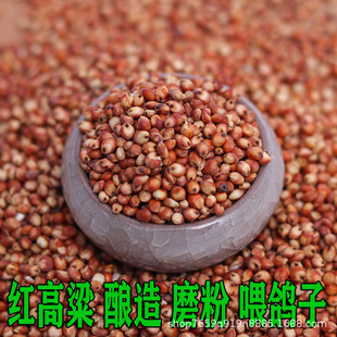 �t����50�� ᄾ�ᄴ׼t���� ĥ�״�ێ�Ƥ�t��������������Z�B�Z