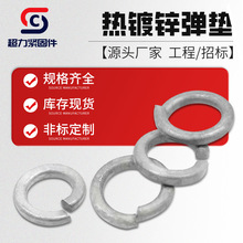 ����\���|�_�ڏ��|Ƭ����\���ɉ|Ȧ���ԉ|Ƭ���lM8M10M12M14