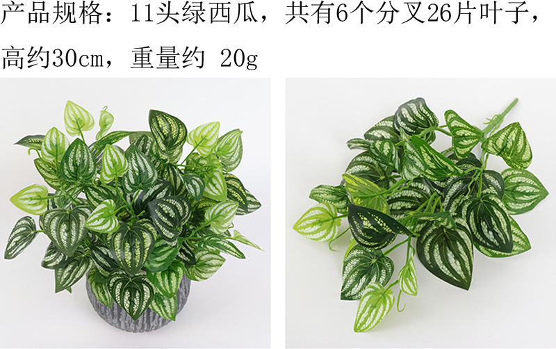详情图