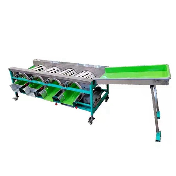 Citrus fruit sorting machine