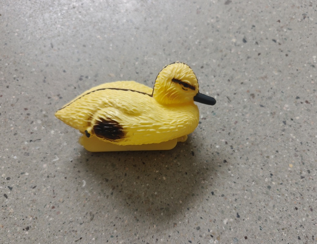 微信截图_20250526094754