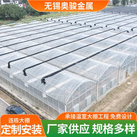 供应连栋大棚温室连体大棚草莓西瓜育苗养殖棚暖棚 冷棚连栋大棚