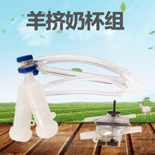 铁片款奶羊挤奶杯组 羊场挤奶机 奶衬杯组