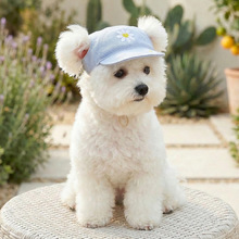PETCIRCLE��ñ�ӌ������ñ؈��ñ�Ӱ���ñ�Ӽ��ό���ñ��ᘿ�