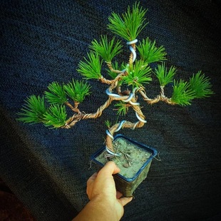 ���ͺ����Ϙ������С���辰��ᘾGֲ�ļ������ͺ�ӭ�����̨�҃�