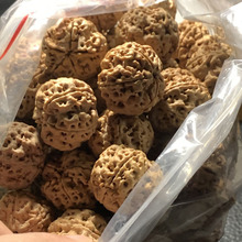 菩提盘串菩提手链22年尼泊尔大金刚菩提手串手链佛珠盘串原籽