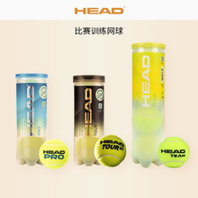 HEAD海德金罐张之臻同款网球训练桶装3粒装tourXT/team/pro比赛球