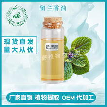 ���m�������m�㾫�͆η�ֲ�����ϏS��ֱ�N�F؛�����{��؂���ζ