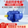 能效变频交流三相电动机