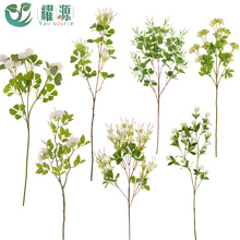 仿真绿植马醉木树枝绿植墙造景装饰珍珠槐花材家居桌面四叶菊摆件