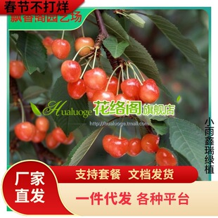 ���l���Ҍ����� ɽ�� ë�� �޽ә�����ľ ������؛ ���Ҍ�����