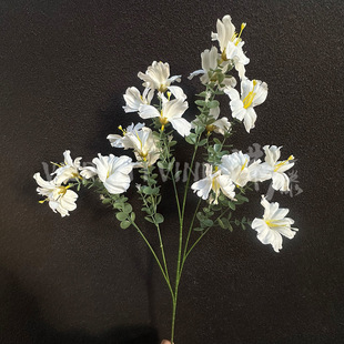 ��֦С�黨�ٻ����滨��Y�������û�c�û����ռٻ��������߾껨