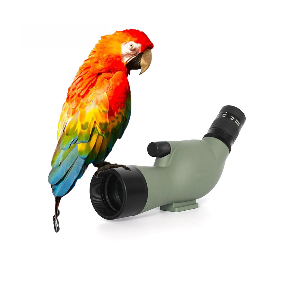 רҵ15-45x60߱BAK4⾵ˮԹ΢ҹԶ