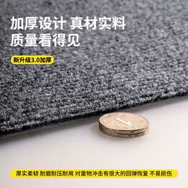 定制隔音可裁剪全铺房间卧室家用加厚满铺地毯自粘方块地毯批发