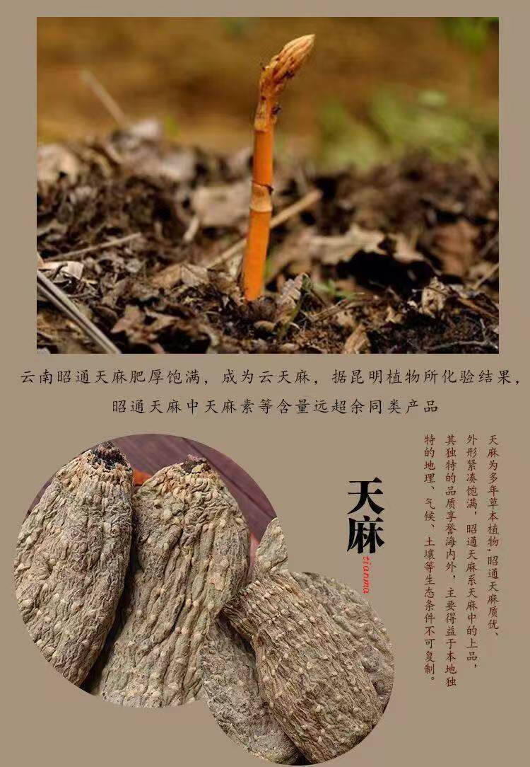 Tian Ma Gastrodia Root 500g Yunnan Zhaotong Black Wild-Crafted Dried Slices for Decoction and Soup quality and texture