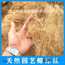 海南防虫面盆盆栽全国艺用椰铺面装饰植物天然椰壳棕丝填充垒德株