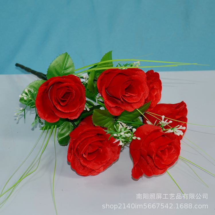 7头孔雀玫16.jpg