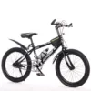 Cost-effective black and white [single speed + luxury model]