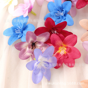 �ߙn�����m�� ��c���h���ֶY����͏d�͏d�廨�b[���zӰ����