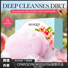 BIOAOUAˮ�����R�������Ᵽ���w�� �坍���w�ֹ����羳���Q���l