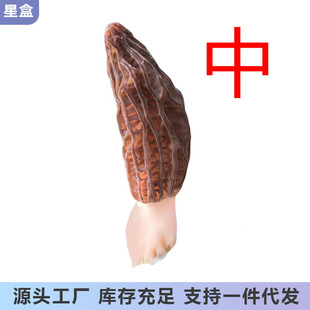 ������r��Ǿ�Ұ����Ģ���s���M�ϼt�����^��������ڻ����u�;�