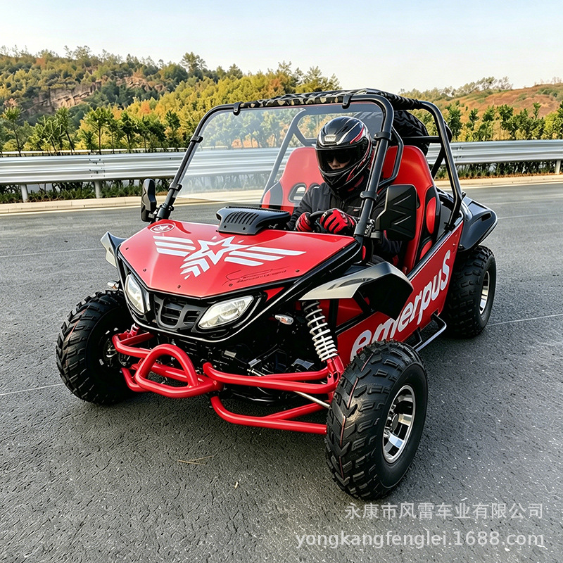 Go Kart Todoterreno de Dos Asientos 200-300cc de Hierro y Plástico con Arranque Eléctrico image 4