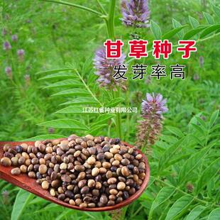 �ʲݷN�����lɢ�b�в�ș�ķN�Ӽ��¸ʲ�����ļ��͟��ͺ���񤱡