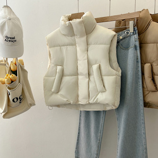 Cross-border Europe and the United States stand collar short cotton-padded vest women's 2024 autumn and winter new fashion high waist vest bread coat