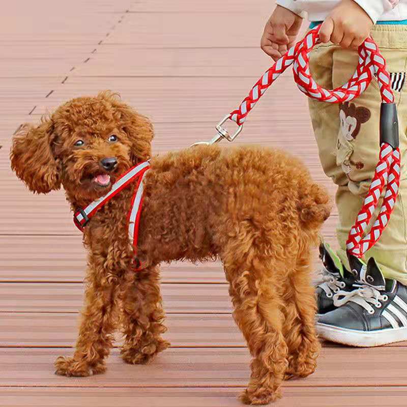 PET reflexivo Correa grande, mediano y pequeño perro correa de pecho perro Correa luminosa perro cadena perro correa de perro