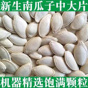 �o���2024��؛���Ϲ����д�Ƭ�����Ϲ��у��ɹŮa2��5����]