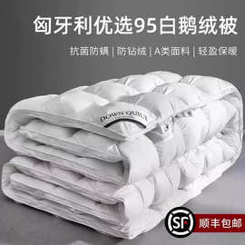 匈牙利正品羽绒被95白鹅绒冬被五星级酒店加厚保暖春秋单双人被子