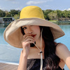 Universal summer sun hat, internet celebrity, Korean style, sun protection