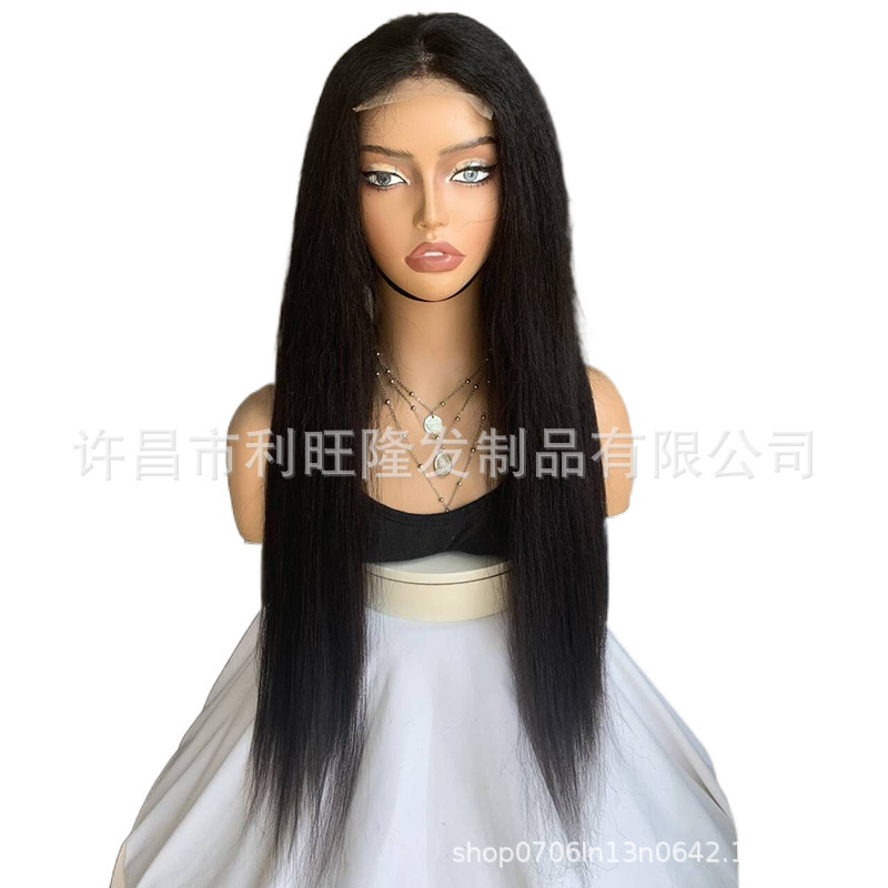 Cross-border foreign trade 4*4 front lace mixed hair straight hair head cover blend hair lace wig Xuchang wig