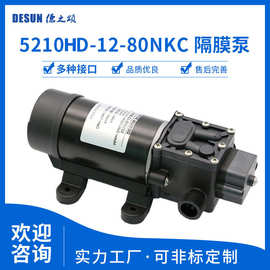 5210HD抽油泵功率80W大流量13L/MIN吸程1.5m抽汽油柴油煤油等流体