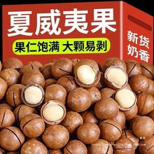 新货夏威夷果奶油味500g夏果干果散装年货休闲零食100g