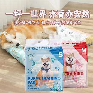 Essential oil training pet diapers dog absorbent diapers cat diapers fixed-point training pet diapers wholesale