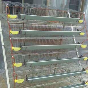 �Ԅ���ʽ�g�����ӻ\�Bֳ�g���Bֳ�\�L�������p���\�\ľ�|������
