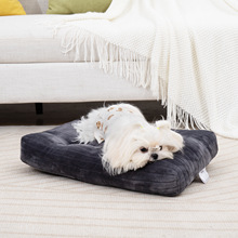 �羳�l�y���m�q������ץ����˯�|�д󹷻\�|���ﶬ�əCϴ����؈�C